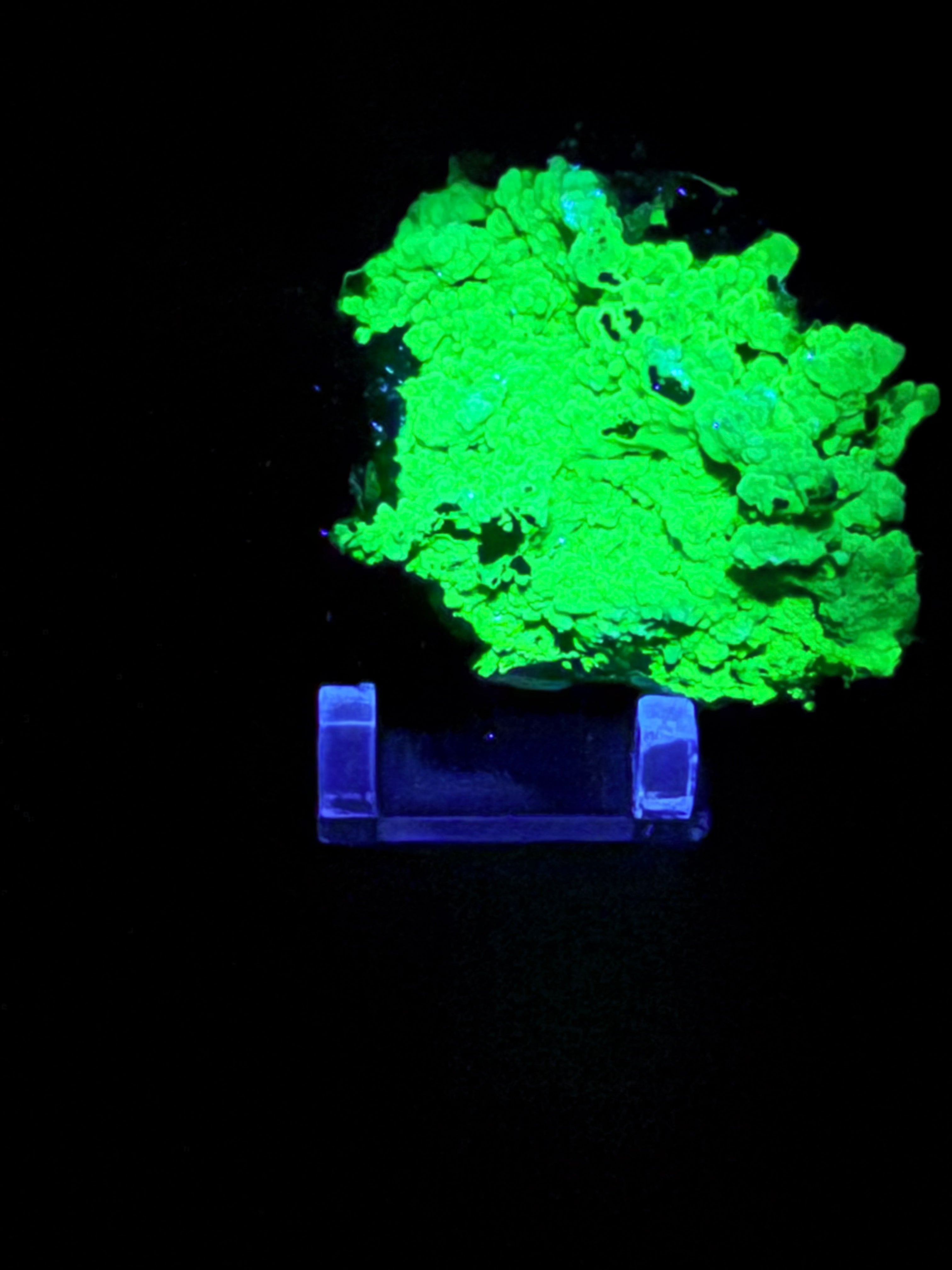Chalcedony and Aragonite on Goethite #3