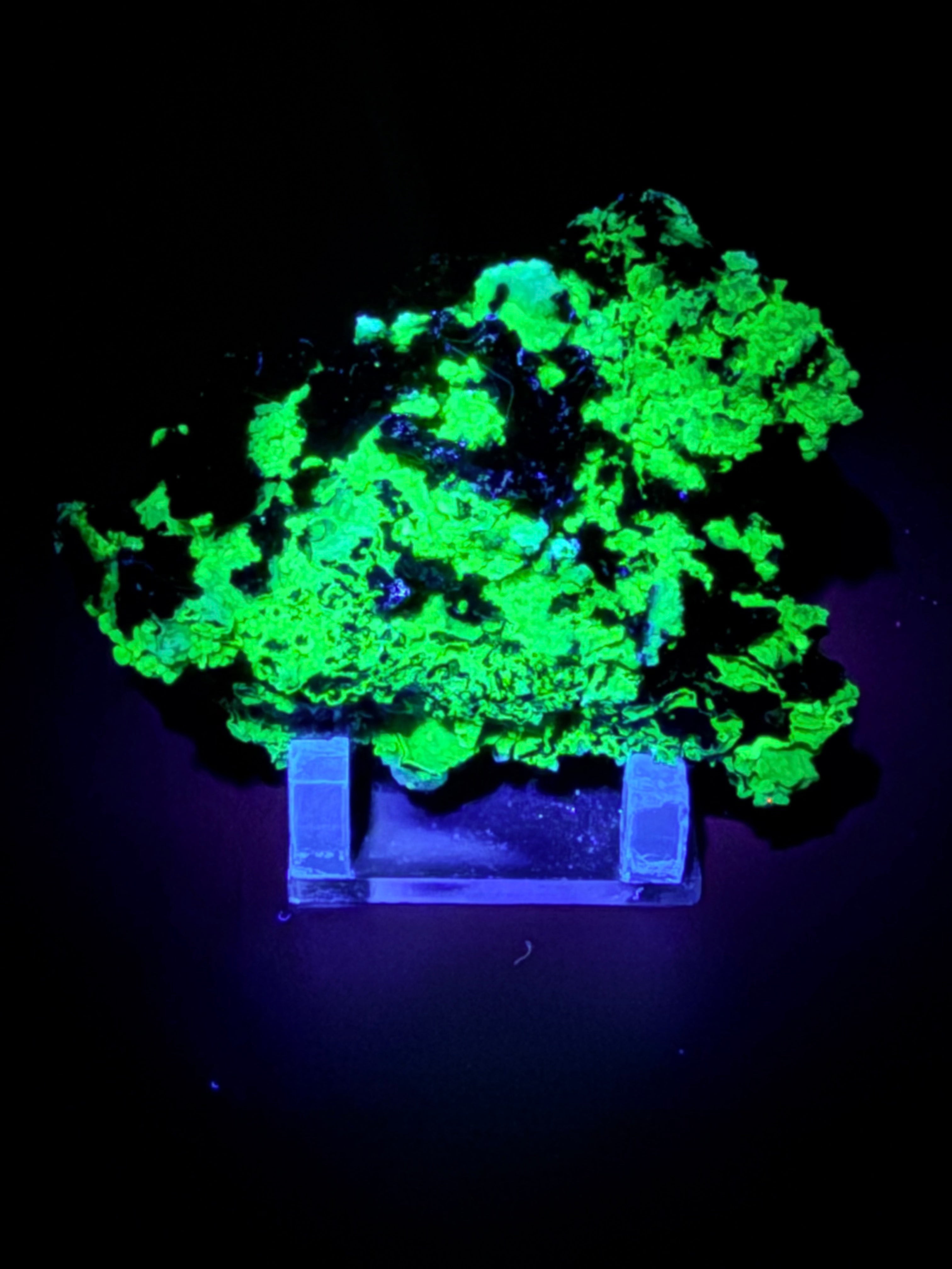 Chalcedony and Aragonite on Goethite #4