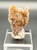 Druzy Quartz after Calcite- 12071